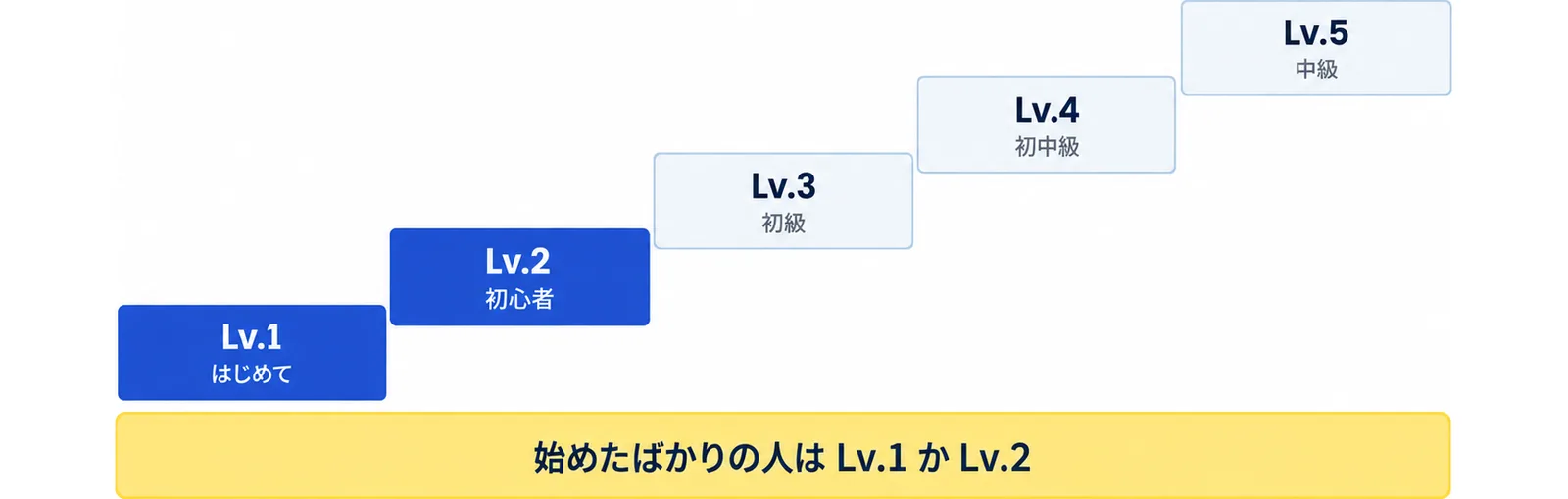 ピックルボールベアのレベルをLv.1はじめて、Lv.2初心者、Lv.3初級、Lv.4初中級、Lv.5中級の順に段で示し、始めたばかりの人はLv.1かLv.2に設定することを添えた図