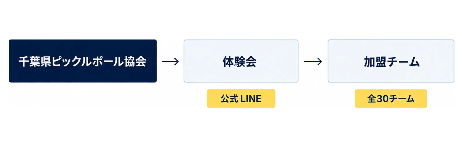 千葉県ピックルボール協会の体験会に参加し、日程は公式LINEで確かめ、そのあと全30チームの加盟チームから近くのクラブを探す流れを示した図